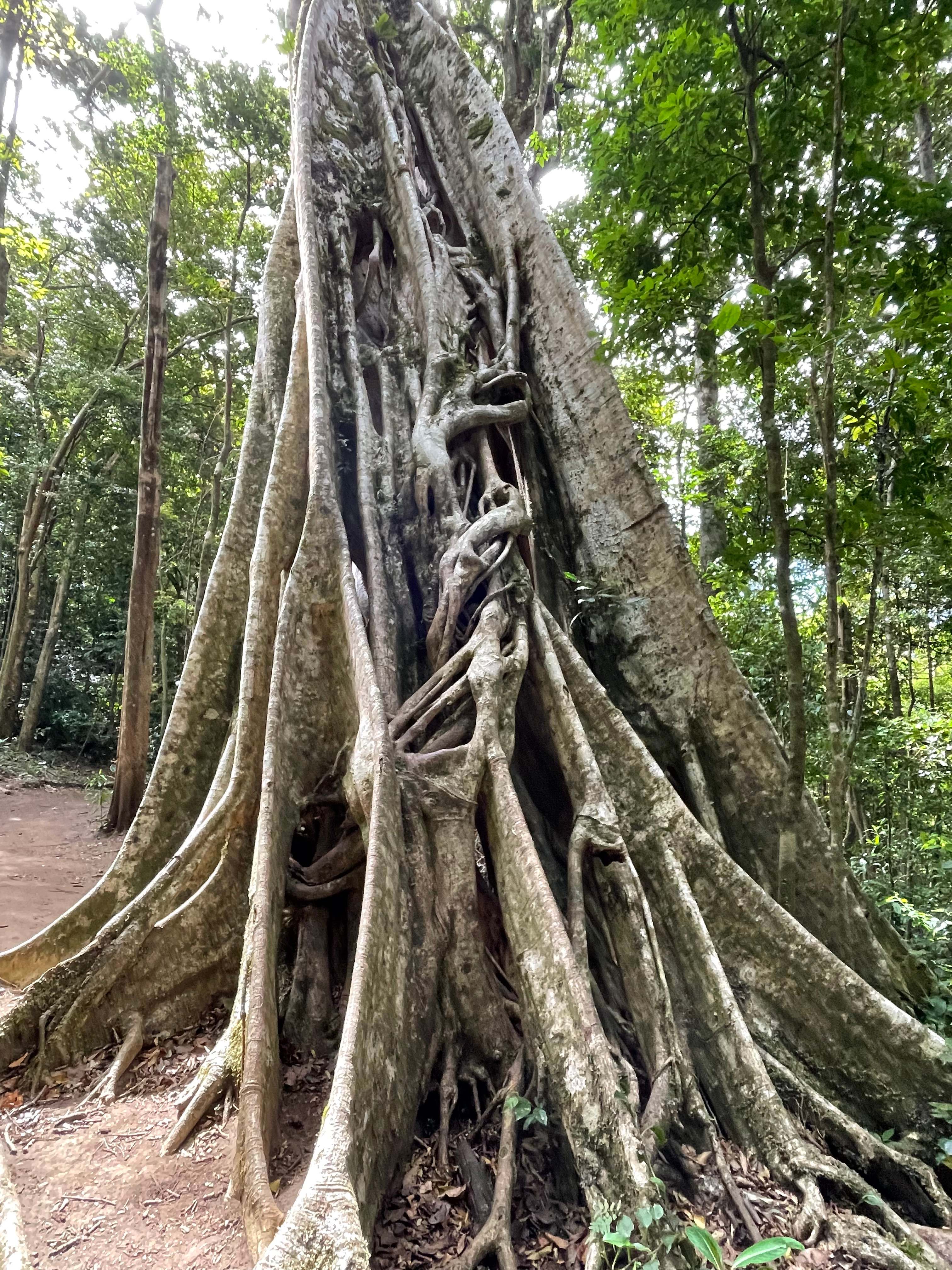 Costa Rica